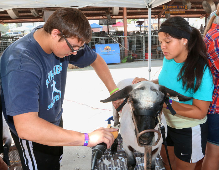 Youth activities at Kings Fair